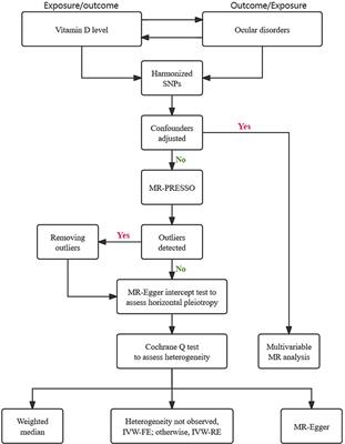 Vitamin D levels and risk of ocular disorders: insights from bidirectional and multivariable Mendelian randomization analysis
